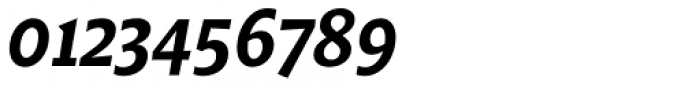 Amphibia Bold Italic Font OTHER CHARS