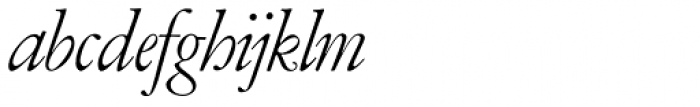 Amsterdamer Garamont Pro Italic Font LOWERCASE