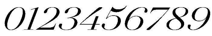 AmazoniaItalicVAR ExpandedContrastItalic Instance Font OTHER CHARS