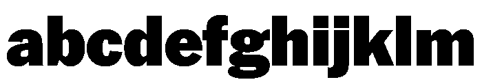 AmericanGrotesk Black FONT