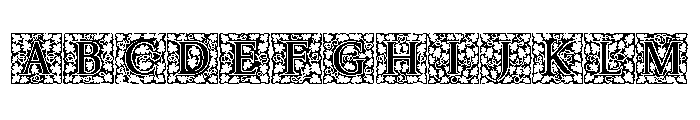 Amelia Jayne Fill Initials Font UPPERCASE
