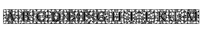 Amelia Jayne Fill Initials FONT