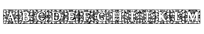 Amelia Jayne Hard Initials Font UPPERCASE