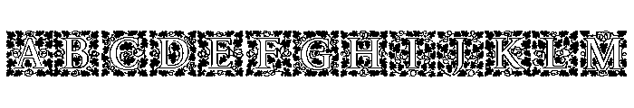 Amelia Jayne Open Initials Font UPPERCASE