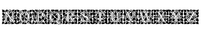 Amelia Jayne Open Initials Font UPPERCASE