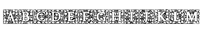 Amelia Jayne Soft Initials Font UPPERCASE