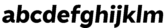 Amica Extra Bold Italic FONT