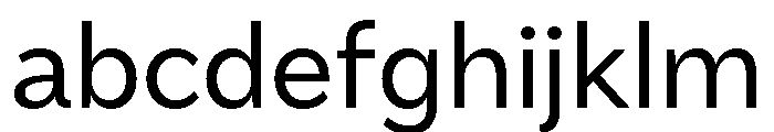 Amica Regular FONT