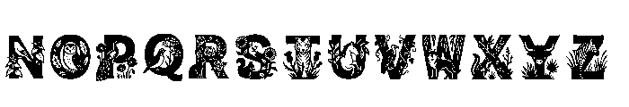 Anaya Regular Font LOWERCASE