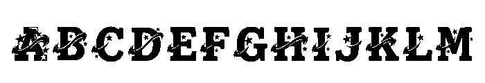 Angara Regular FONT