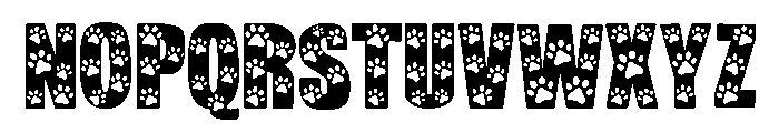 Animal footprints drawing Font UPPERCASE