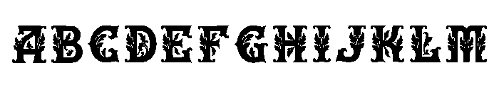 Ansel Regular FONT