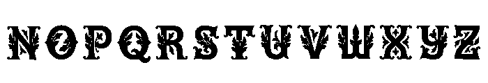 Ansel Regular Font LOWERCASE
