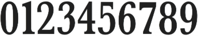 ANIMUS Medium Condensed otf (500) Font OTHER CHARS