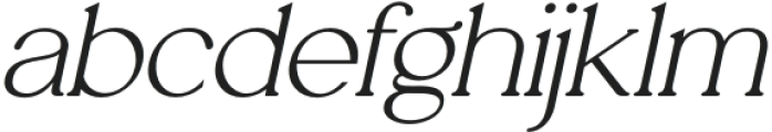 Analogi Serif Bold Slanted otf (700) FONT