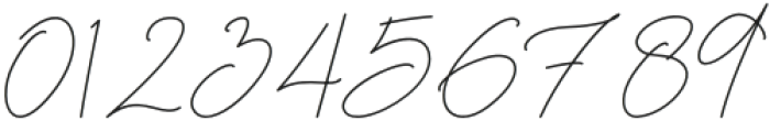 Anastasya Signature Regular otf (400) Font OTHER CHARS