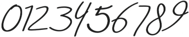 Aneisha Script Bold Regular otf (700) Font OTHER CHARS