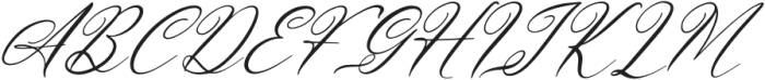 Aneritys Denhug Italic otf (400) Font UPPERCASE