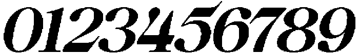 Anglica Serif Black Slanted otf (900) Font OTHER CHARS