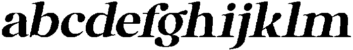 Anglica Serif Black Slanted otf (900) FONT