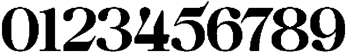 Anglica Serif Black otf (900) Font OTHER CHARS