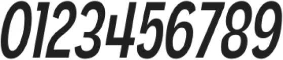 Angostura Italic otf (400) Font OTHER CHARS