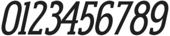 Anicon Slab Medium Italic otf (500) Font OTHER CHARS
