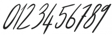 Annie Signature Regular otf (400) Font OTHER CHARS