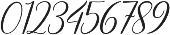 Anteri Signature Regular otf (400) Font OTHER CHARS