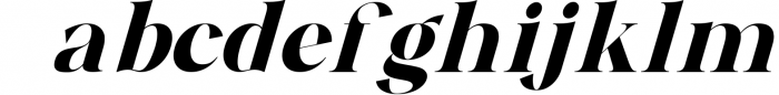 ANDREW ELEGANT Font 1 Font LOWERCASE