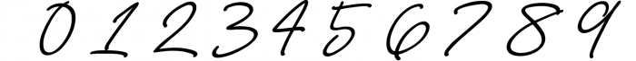 Anastacia Signature Font 1 Font OTHER CHARS