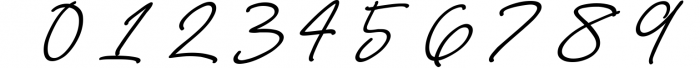 Anastacia Signature Font 2 Font OTHER CHARS