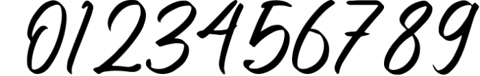 Angilla Denis - Brush Script Font Font OTHER CHARS