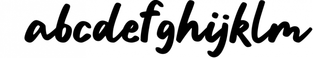 Anthemic | Stylish Script Font Font LOWERCASE