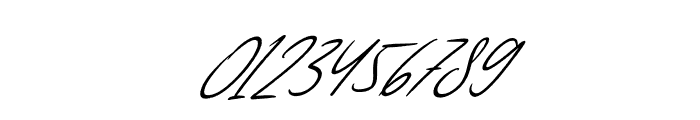 Anderson Signature Italic Font OTHER CHARS