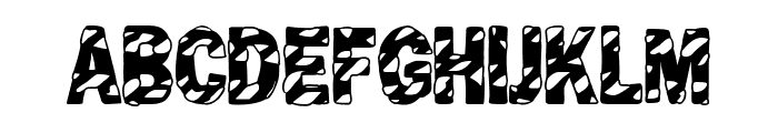 Animal Print FONT