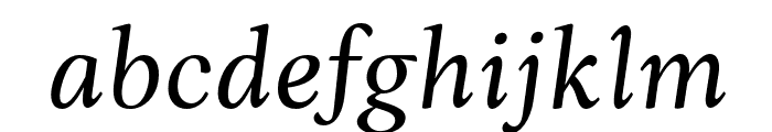 AnkoPersonalUse-RegularItalic Font LOWERCASE