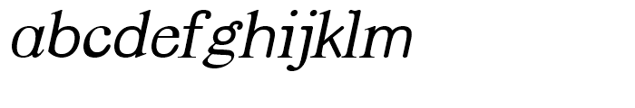 Andromeda Italic Font LOWERCASE