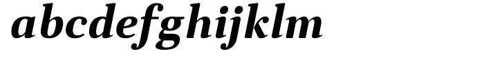 Anglecia Pro Text Bold Italic Font LOWERCASE
