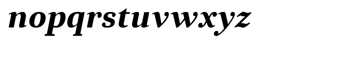 Anglecia Pro Text Bold Italic Font LOWERCASE