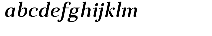 Anglecia Pro Text Medium Italic Font LOWERCASE