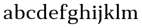 Anglecia Pro Text Regular Font LOWERCASE