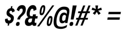Angostura Bold Italic Font OTHER CHARS