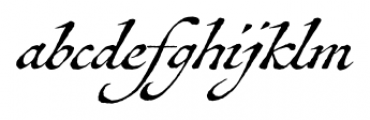 Antiquarian Scribe Regular Font LOWERCASE