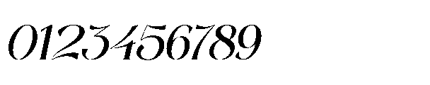 Anajem Serif Oblique Font OTHER CHARS