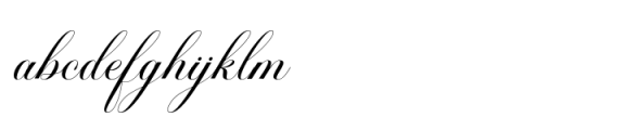 Andara Calligraphy Script FONT