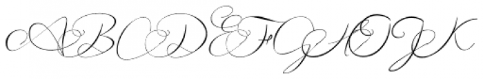 Andora Ardelion Regular Font UPPERCASE