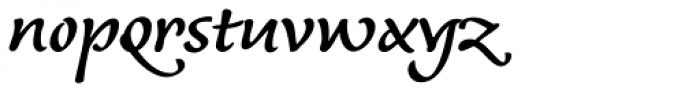 Andrij Script Cyrillic DemiBold Font LOWERCASE