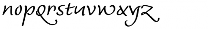 Andrij Script Cyrillic Font LOWERCASE