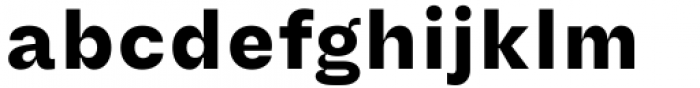 Another Grotesk Text Bold Font LOWERCASE